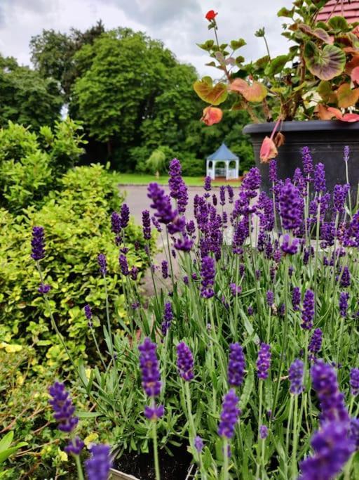 Vila The Nook Located In A Beautiful Garden Setting With Parking Stratford-upon-Avon Exteriér fotografie