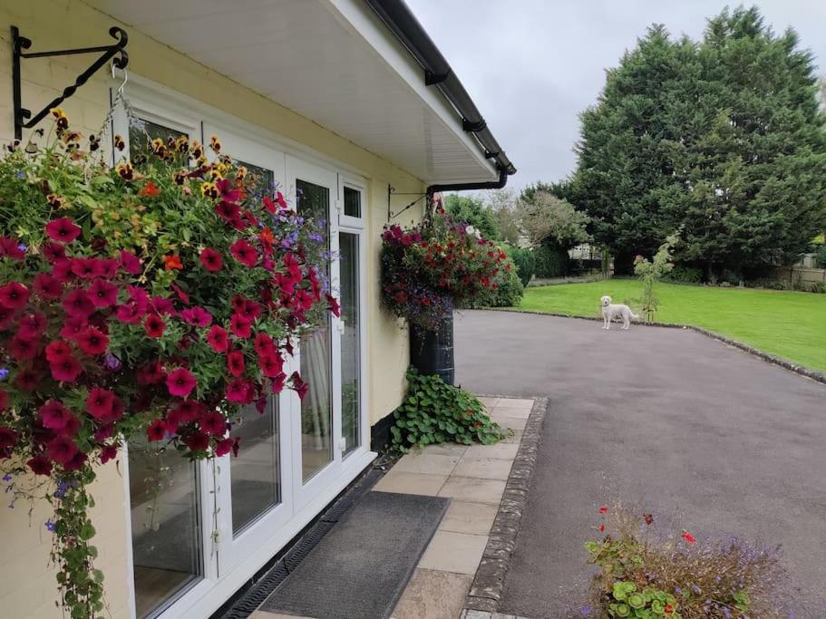 Vila The Nook Located In A Beautiful Garden Setting With Parking Stratford-upon-Avon Exteriér fotografie